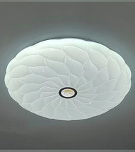 Load image into Gallery viewer, Ceiling Light 
Surface Light 
Ceiling Fixture
