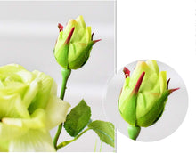 Load image into Gallery viewer, Floral Finesse Elegant Flower Vase Artifacts