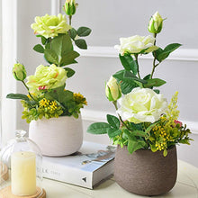 Load image into Gallery viewer, Floral Finesse Elegant Flower Vase Artifacts