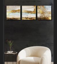 Load image into Gallery viewer, Contemporary Set of 3 Wall Frames Set Enhance Your Decor with Style