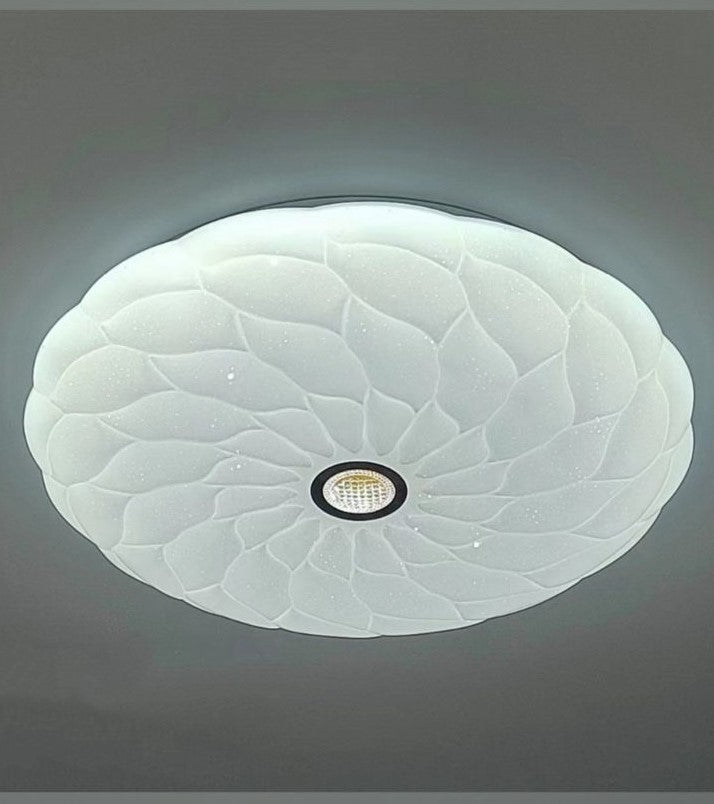 Ceiling Light 
Surface Light 
Ceiling Fixture 
