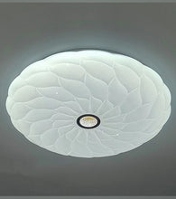 Load image into Gallery viewer, Ceiling Light 
Surface Light 
Ceiling Fixture 
