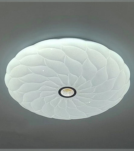 Ceiling Light 
Surface Light 
Ceiling Fixture 
