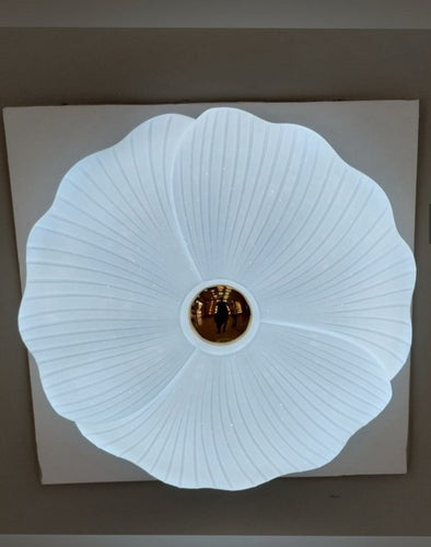 Elegant Surface Light Design with Three Colour Options White, Warm White, and Yellow