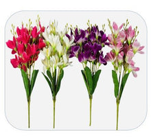 Load image into Gallery viewer, Timeless Petals The Beauty of Artificial Flowers (p.p)