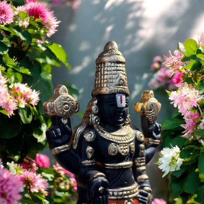 Tirupati Balaji Idol : A Symbol of Faith and Prosperity