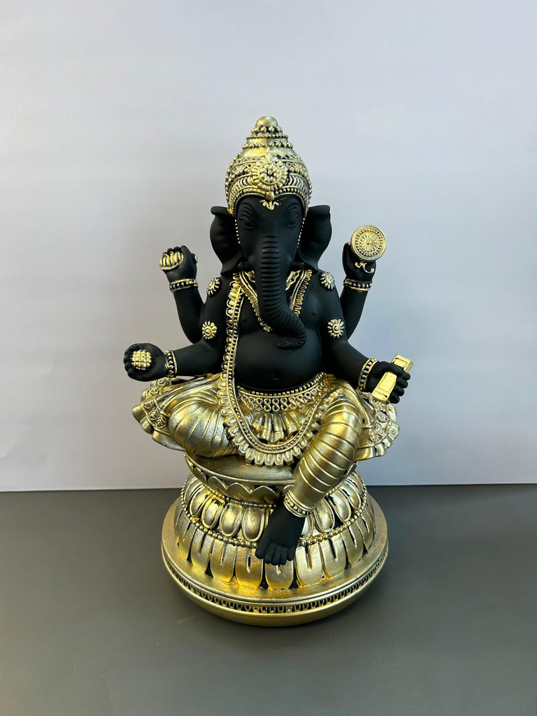 Lord Ganesha Idol
Black Colour God Idol
